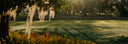 Golf course with trees and a flag on a sunny day