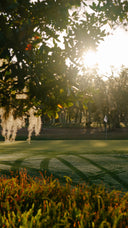 Golf course with trees and sunlight filtering through