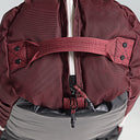 #color_Natural-Cardinal